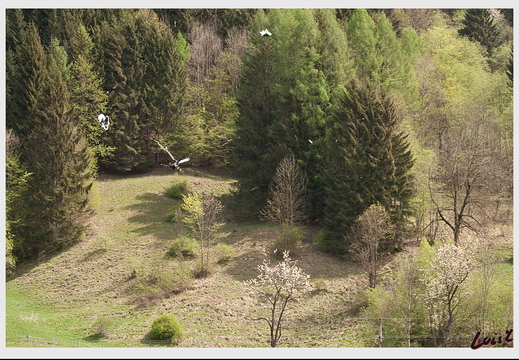 090426 0481-12 (10116 Besuche) 090426 0481-12