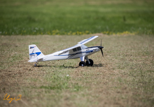 Fly in den Mai 2023 HG (41 von 86) (3942访问量) Fly in den Mai 2023 HG (41 von 86)
